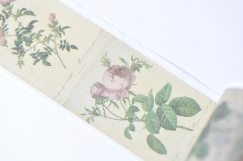 Retro Plants Washi Tape Lined Paper Tape  35mm Wide x 3M Long No.12245