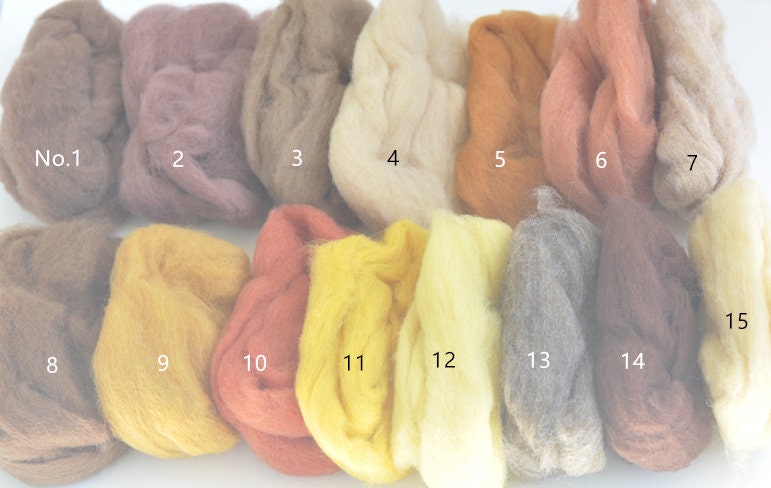 Colorful Needle Felting Wool Bundle Short Staple Spanish Wool Roving 1 oz A Pack