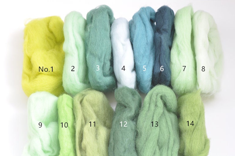 Colorful Needle Felting Wool Bundle Short Staple Spanish Wool Roving 1 oz A Pack
