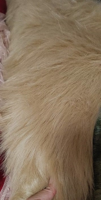 Light Coffee Fabric Teddy Bears Fabric Long Pile For Doll Making 45cm x 35cm (17“x13")